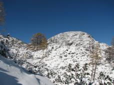 Klik za večjo sliko